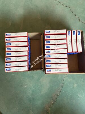 Rodamientos rígidos de bolas 6020-2RS1